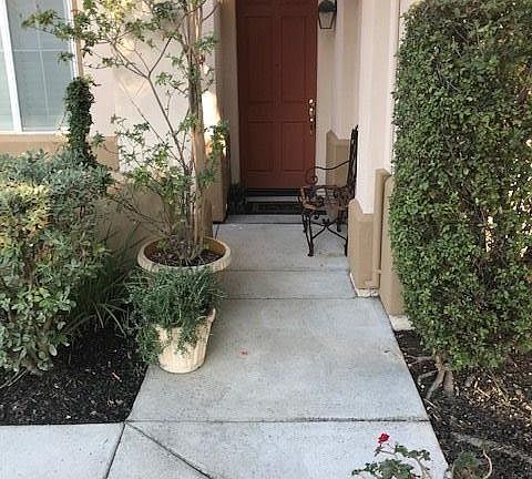 Entryway path with courtyard fountain on left and climbing trumpet vines on trellis above.