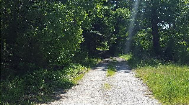 driveway to home in the wood