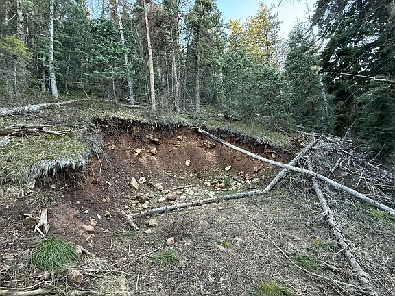 4th image of 38 Pine Creek Rd