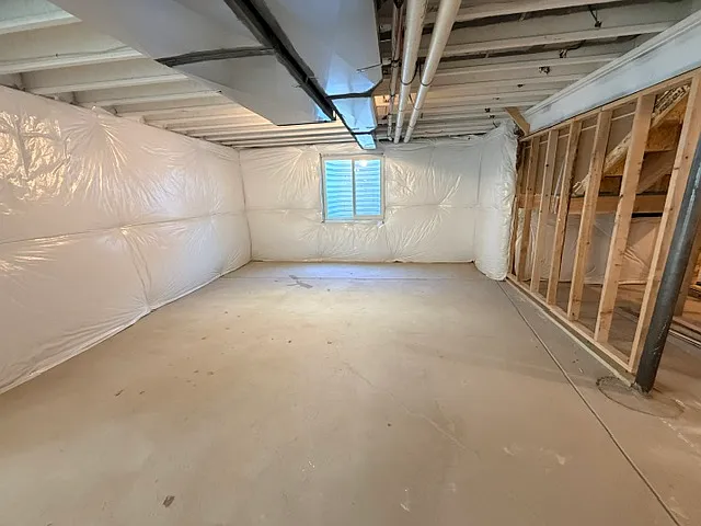 Unfinished Basement