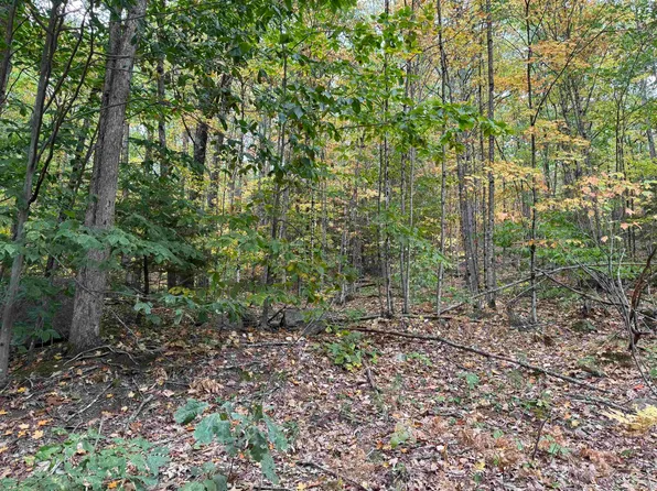 Lot 156 New Hampshire Drive #156, Webster, NH 03303
