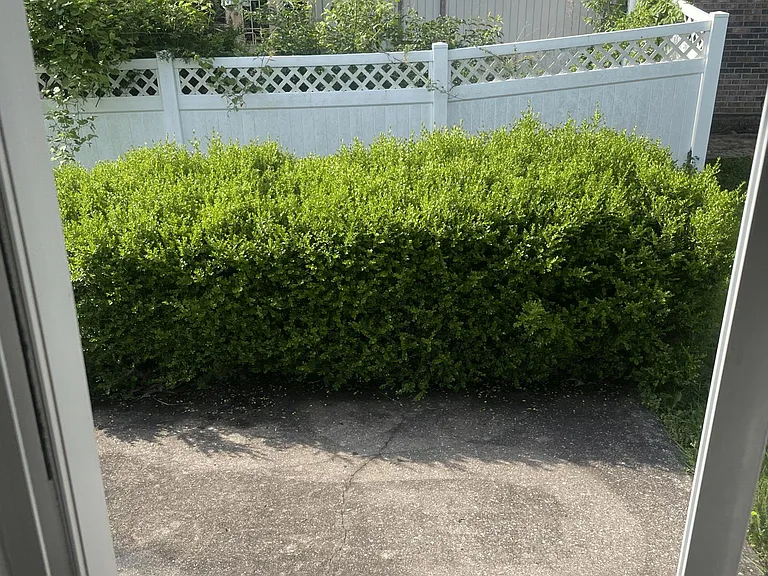 400 Pinnacle St — Photo 17