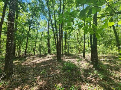 16 E Bear Hollow Trl, Greenville, FL, 32331