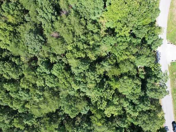 0 Gray Rock Vw #246, Pikeville, TN 37367