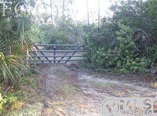 40330 Suzan Drive Punta Gorda Fl. 33982