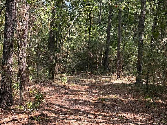 5th image of 0 Reedy Creek Rd