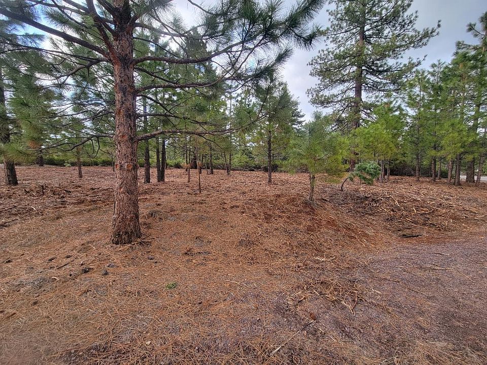 2nd image of 244 Flint Way