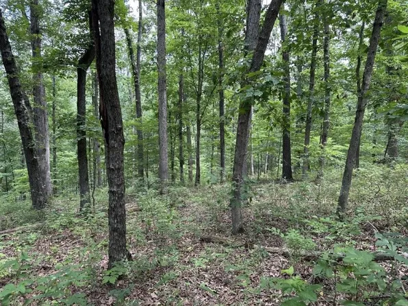 Jura Ln #26, Bella Vista, AR 72715