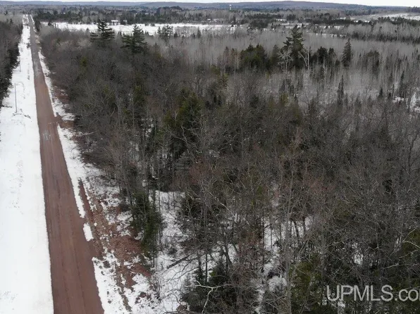 40 Golden Glow Rd, Trout Creek, MI 49967