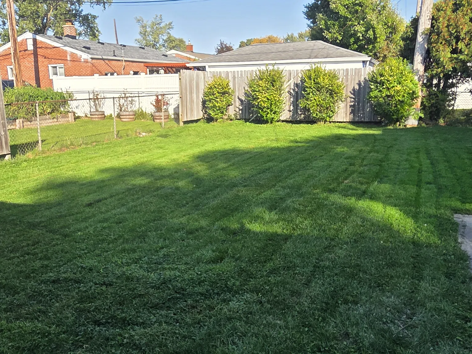 3 bed, 1.5 bath, 1007 sqft, $1,900 — Photo 3