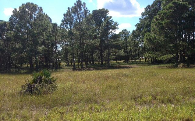 1st image of 650 Lake Tina Dr