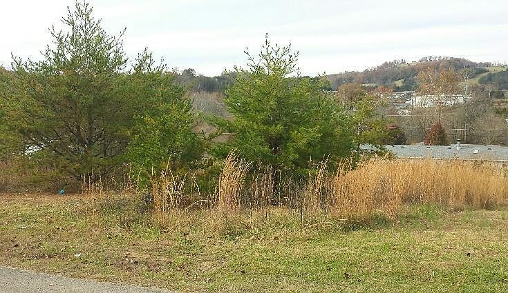 2nd image of Clearwater Ridge Rd