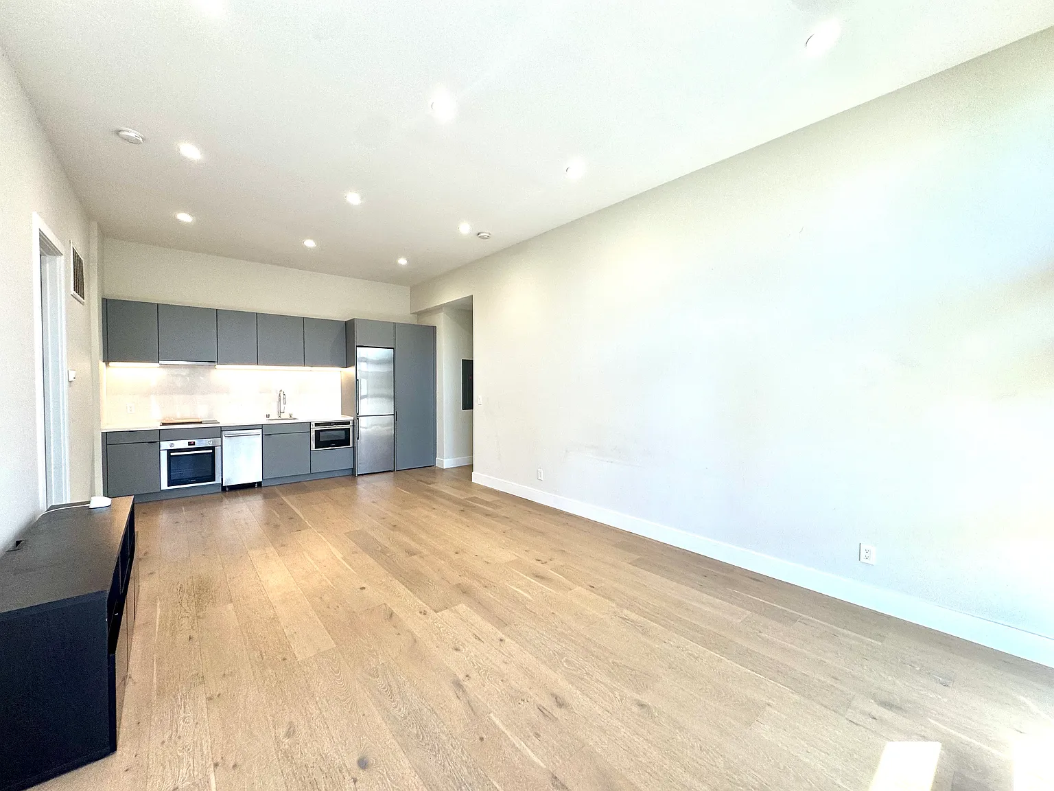 2 bed, 750 sqft, $3,300 — Photo 3