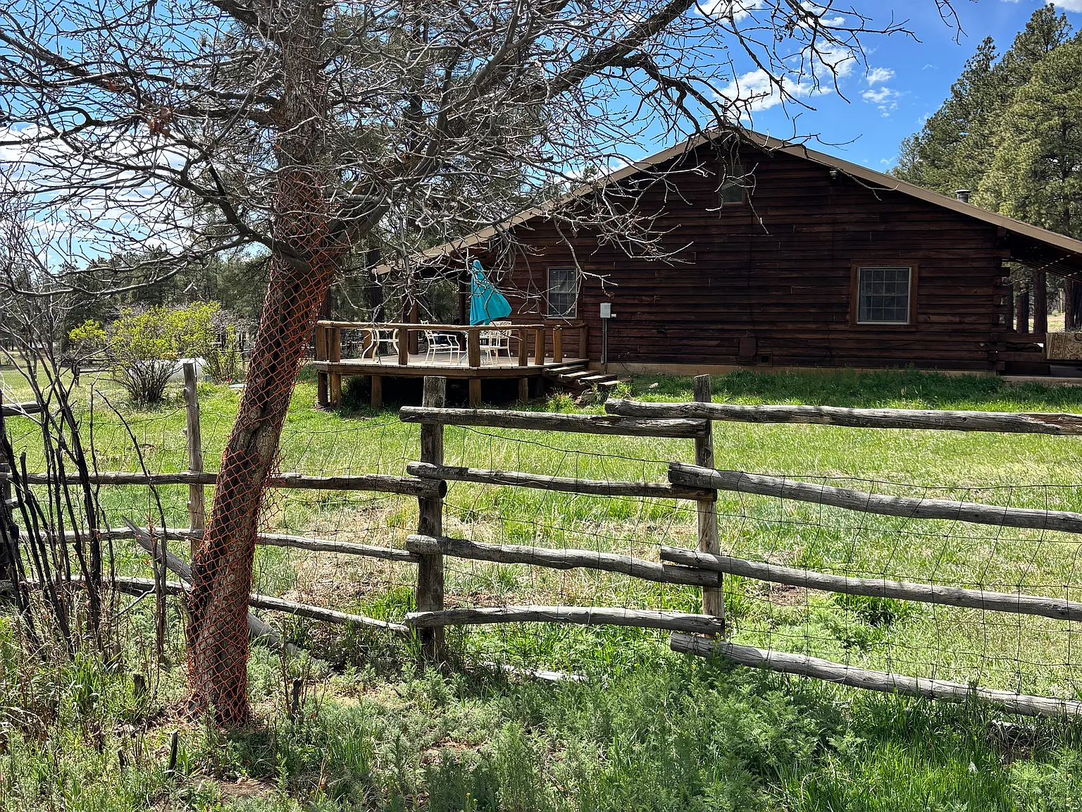 3 bed, 1200 sqft, $3,000 — Photo 2