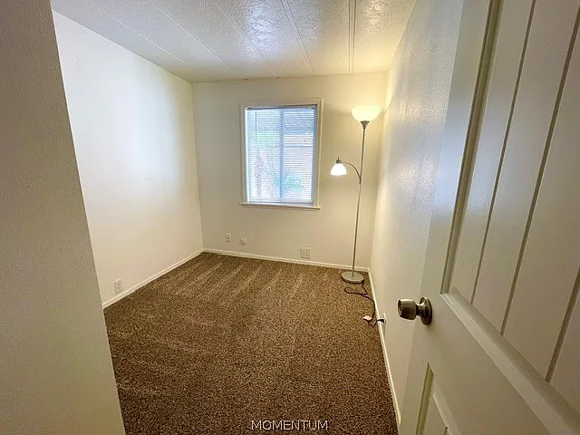 803 Roadrunner Dr — Photo 10