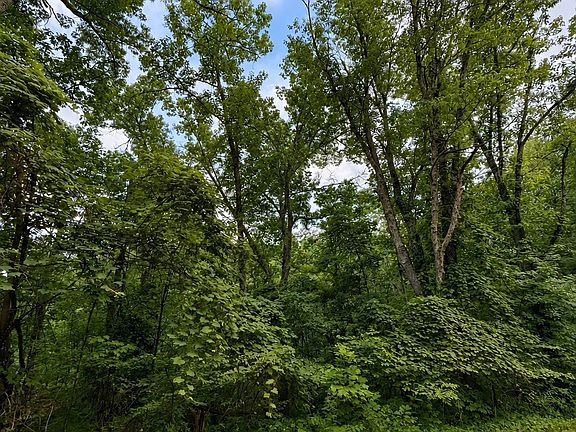 4th image of 0 Skyline Dr Lot 68