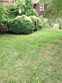 2nd image of 4671 Farlin Ave