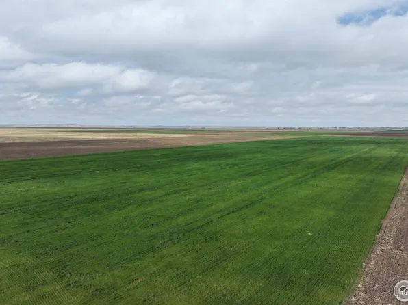 County Road 136, Hereford, CO 80732