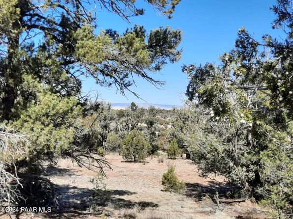 32970 W Dorado Cir, Seligman, AZ 86337