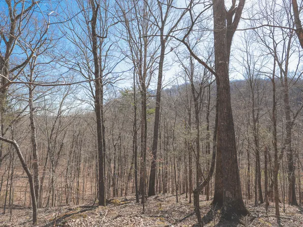 0 Fisher Hollow Rd, Georgetown, TN 37336