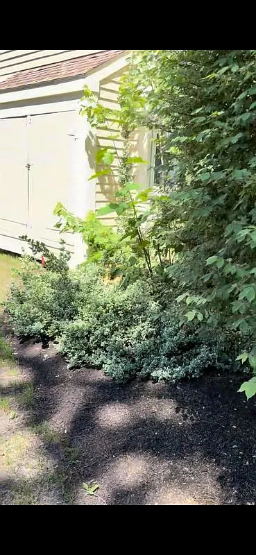 58 Branch Tpke — Photo 3