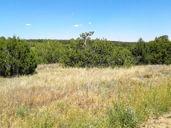 7 Belle Starr Rd, Edgewood, NM 87015