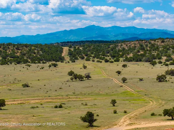 331 Pine Lodge Rd, Capitan, NM 88316