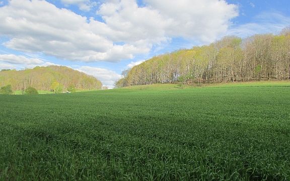 2nd image of 7805 W Blue Grass Trl