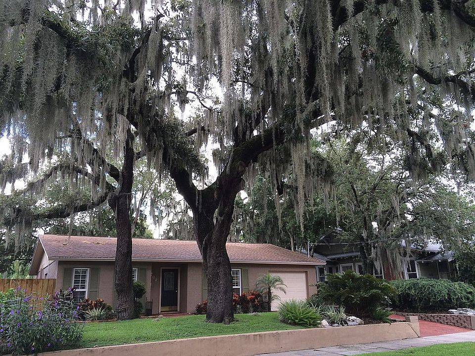 1st image of 1702 W Jetton Ave