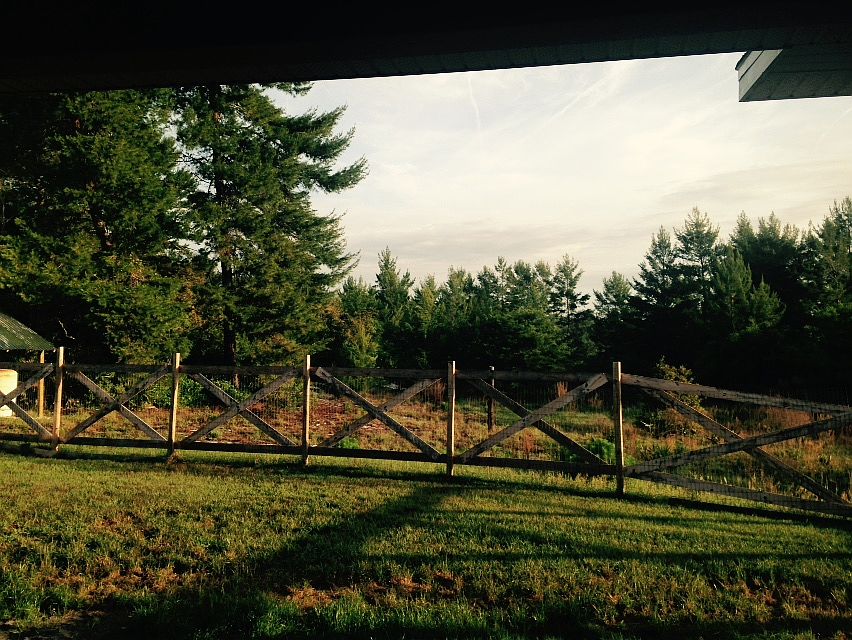 Fenced backyard