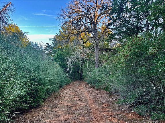 5th image of Hayek Rd