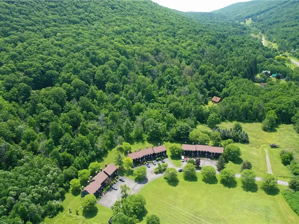 7 Pinewood Ln, Naples, NY 14512