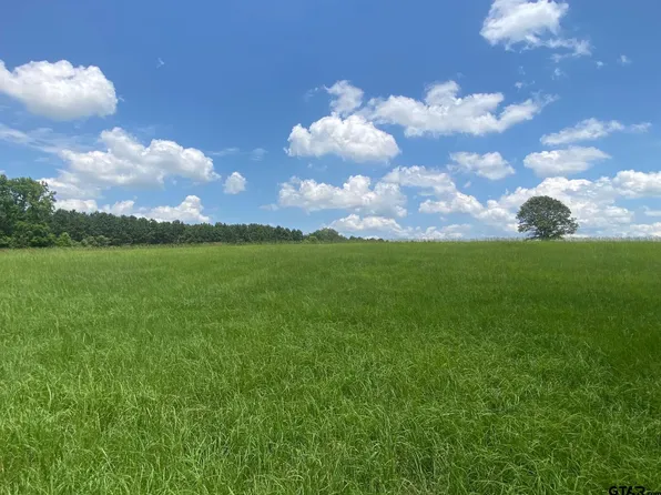 2100 Buckhorn Creek Dr, Crockett, TX 75835