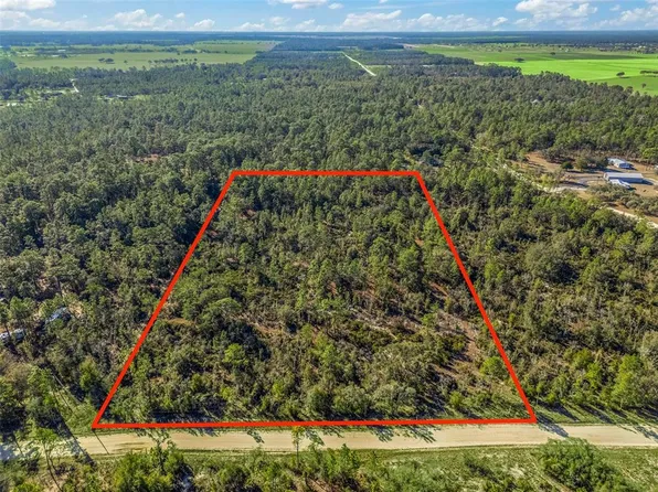 NE 47th St Lot 46, Williston, FL 32696