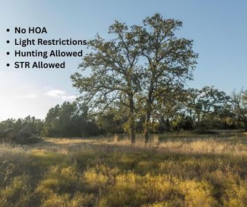 1633 Herber Schaefer Rd, Fredericksburg, TX, 78624