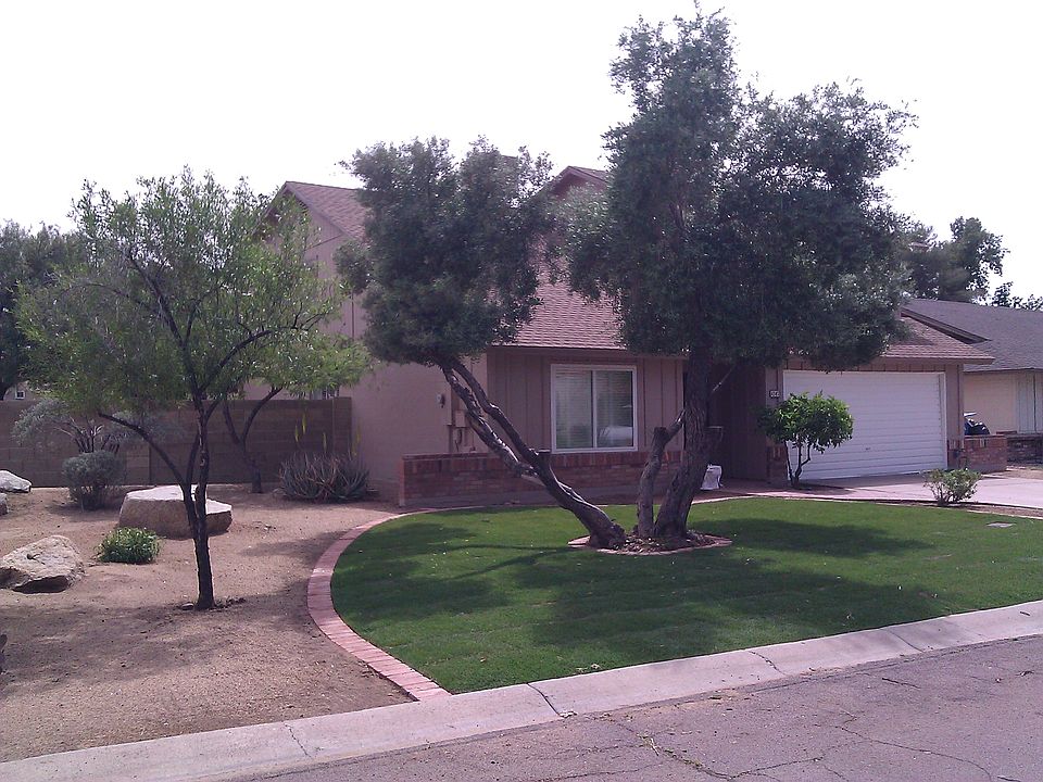 New Landscaping 