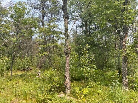 4th image of S Spice Bush Trl