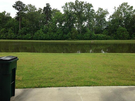 Backyard/Pond