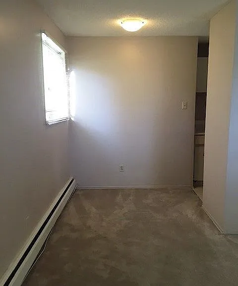 2519 17th St SW #205 — Photo 3