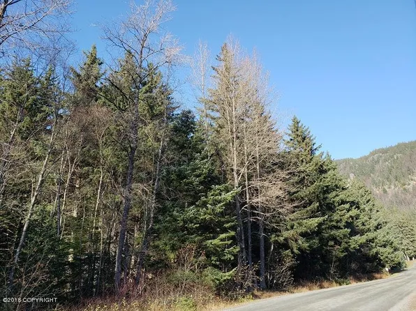 Nhn 4th Ave, Haines, AK 99827