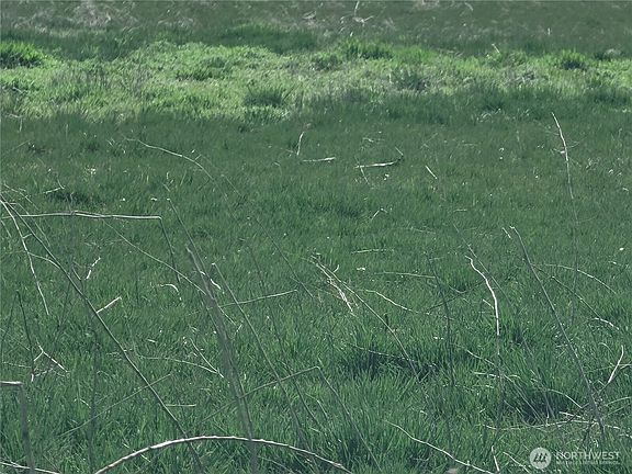 2nd image of 2600 Watson Road