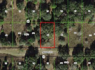 2404 Adams St, Inverness, FL 34453