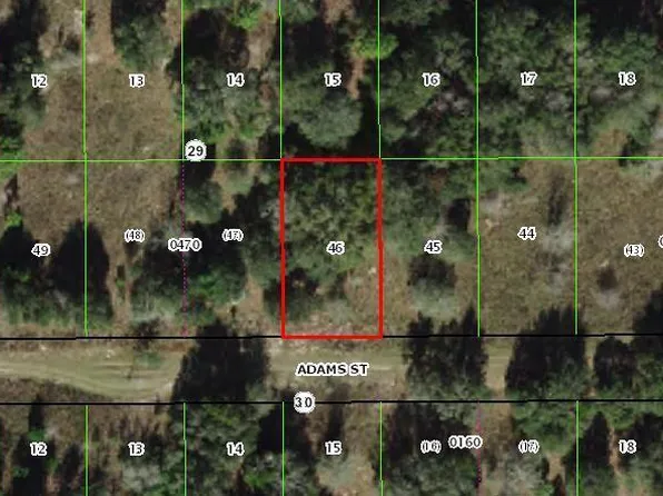 2404 Adams St, Inverness, FL 34453