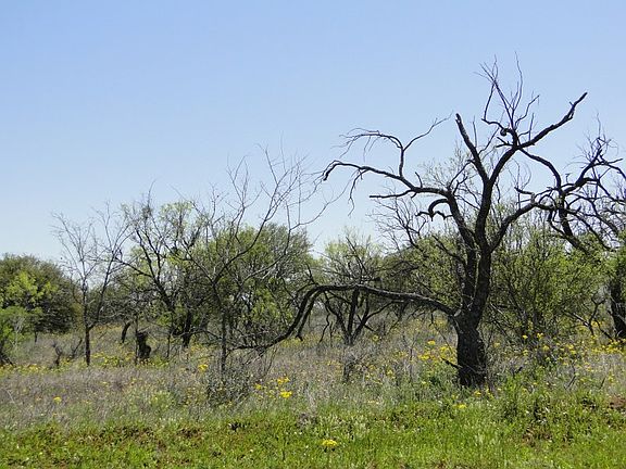 3rd image of Wild Oak Acres Dr