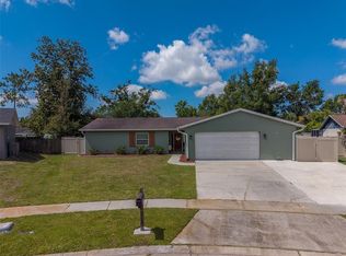 4228 Briarberry Ln, Tampa, FL 33624