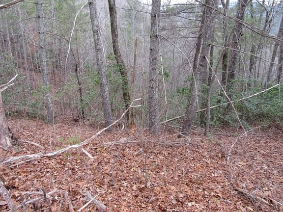 3rd image of 430 Whispering Falls Dr