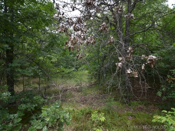 6 S 4503rd Rd, Vian, OK 74962