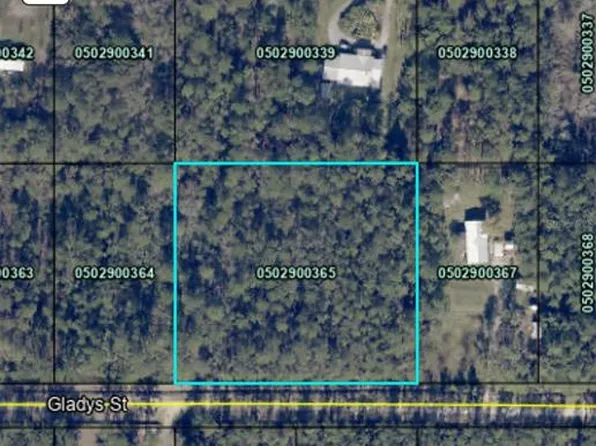 Gladys St, Hastings, FL 32145
