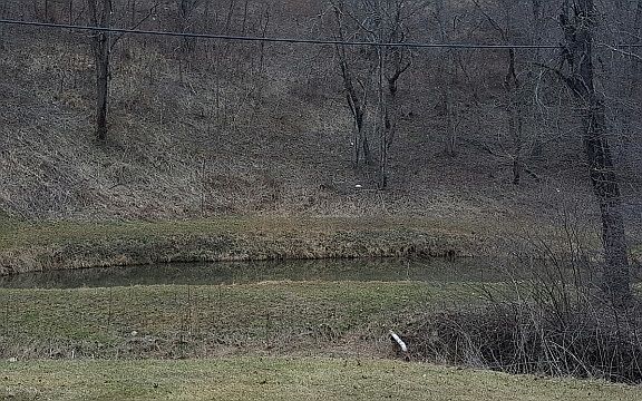 4th image of 1488 Old Galax Pike