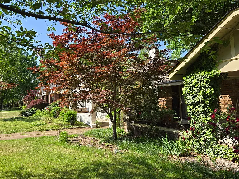 515 Alexander St — Photo 3